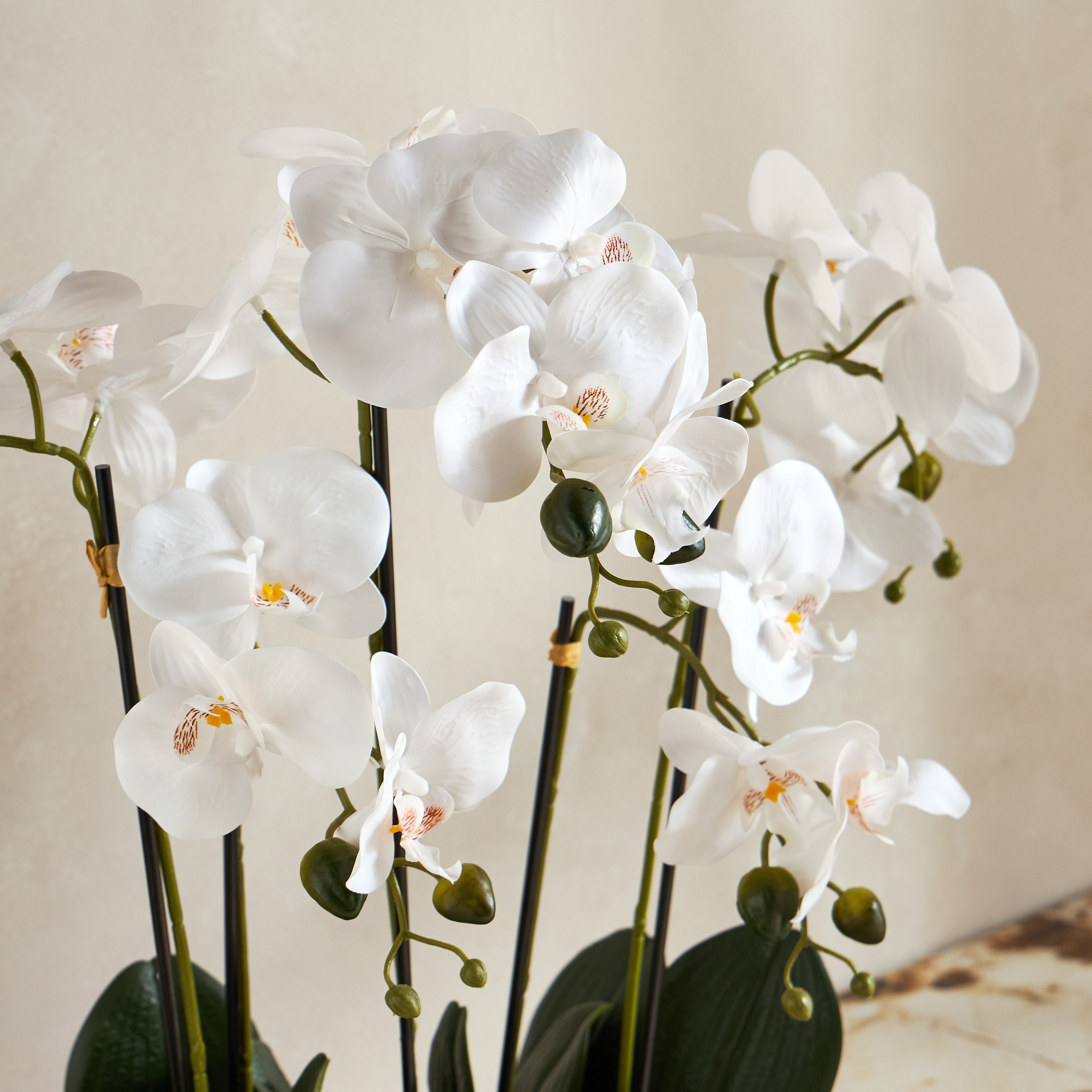 Chantilly Oblong Orchid Arrangement in Pot - 52 cm-household-gardenandoutdoor-artificialflowersandplants-flowers-image-2
