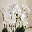 باقة أوركيد في إناء زرع - شانتيلي أوبلونج - 52 سم-household-gardenandoutdoor-artificialflowersandplants-flowers-image-2