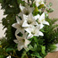 زنبق أبيض بإناء - جيلد روسيت - 140 سم-household-gardenandoutdoor-artificialflowersandplants-flowers-image-2