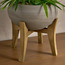 Terra Bamboo Plant in Pot - 60 cm-household-gardenandoutdoor-artificialplants-pottedplants-image-3