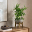 Terra Bamboo Plant in Pot - 60 cm-household-gardenandoutdoor-artificialplants-pottedplants-image-4