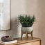 عشب في إناء زرع - تيرا - 60 سم-household-gardenandoutdoor-artificialplants-pottedplants-image-1