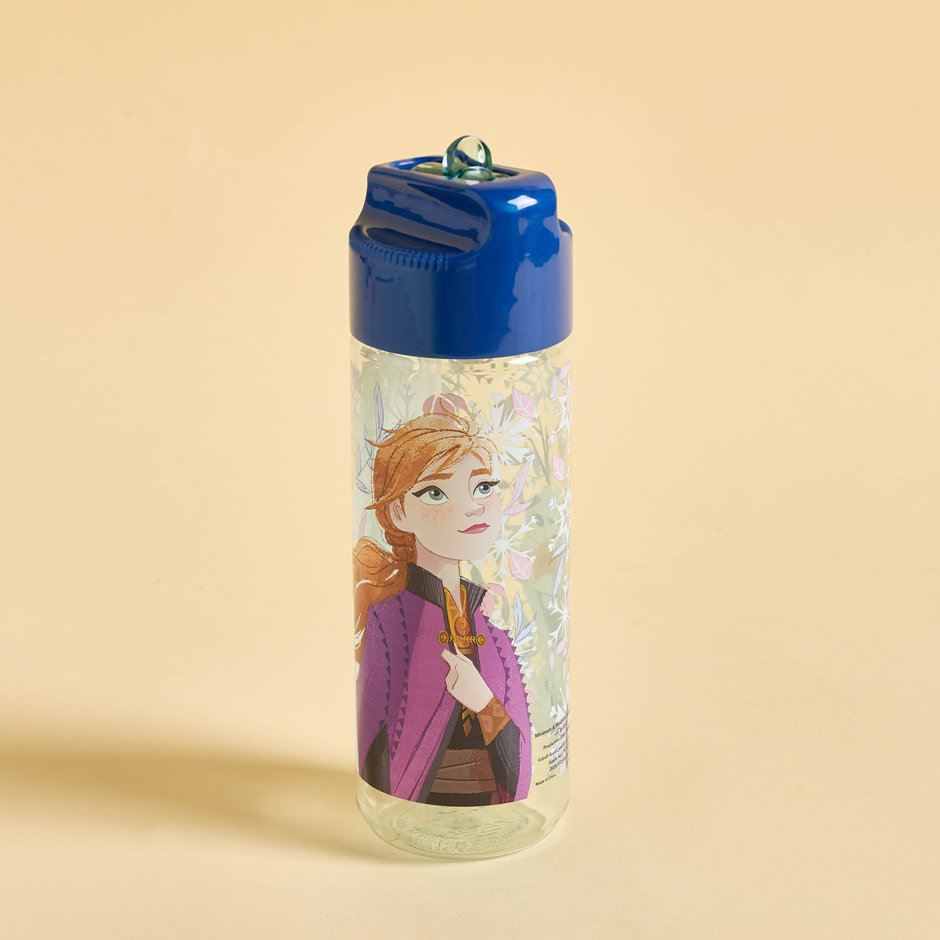 Frozen Ecozen Hydro Bottle-babyandkids-eatanddrink-waterbottles-image-1
