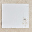 Courtyard 9-Piece Placemat Set-household-dining-tablelinen-placemats-image-8
