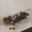 وعاء ديكور معدني - أوفر-household-decor-vasesandbowls-image-4
