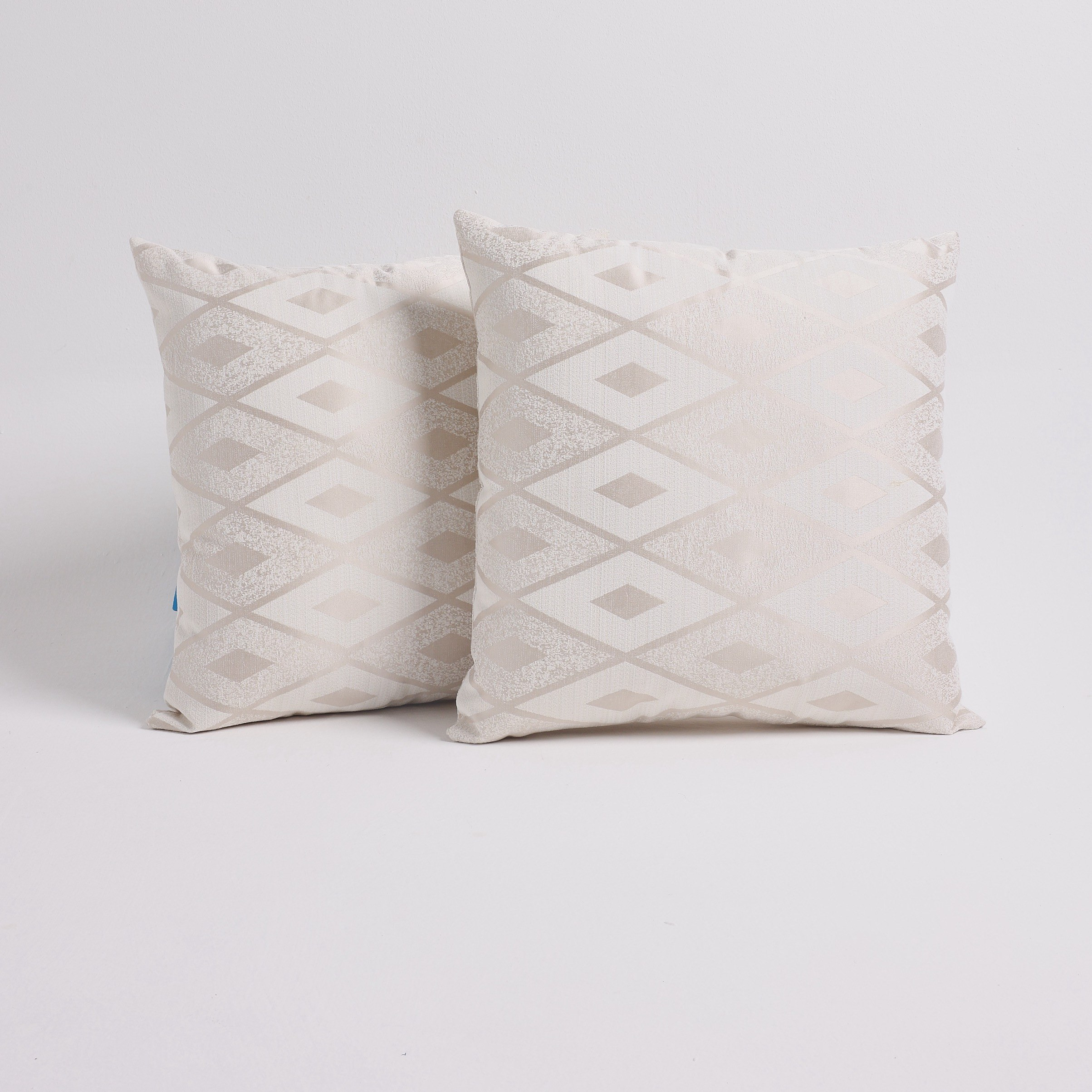 Izel Embroidered 2-Piece Filled Cushion Set - 48x48 cm-household-cushionsandthrows-filledcushions-decorativecushions-image-1