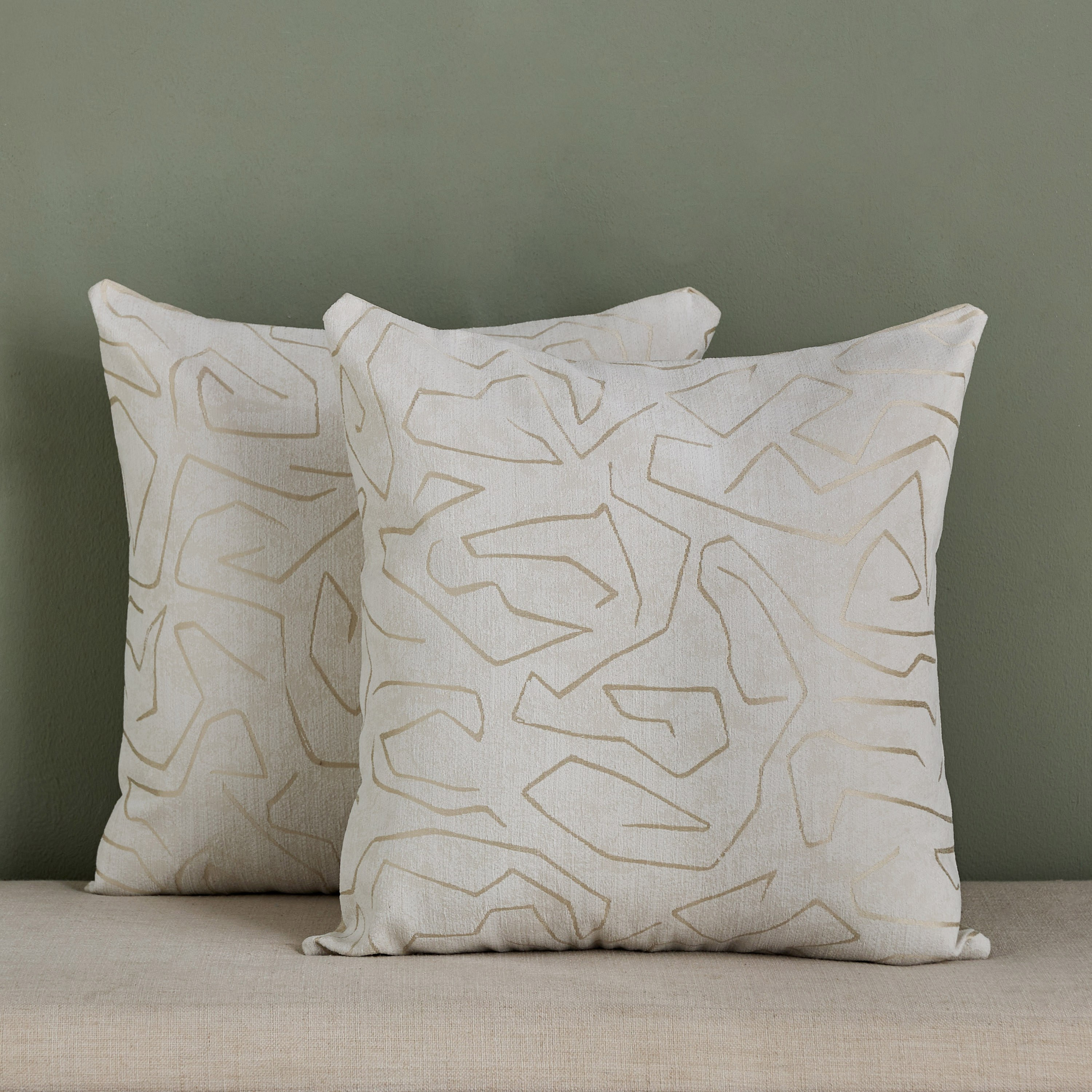 طقم 2 وسادة محشوة مطرزة - لوسينا - 48x48 سم-household-cushionsandthrows-filledcushions-decorativecushions-image-1