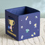 Champion Football Storage Box-babyandkids-bathandstorage-storage-plasticstorage-image-1