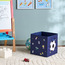 Champion Football Storage Box-babyandkids-bathandstorage-storage-plasticstorage-image-3