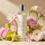 زيت عطري سيليستيال بلوم إيسنس - بوتيك - 250 مل-household-homefragrance-fragranceoilsandessence-image-3