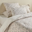 طقم غطاء لحاف قطن سوبر كينج 6 قطع بعدد خيوط 300 - فلافيو - 220x260 سم-household-bedding-comfortersandbedspreads-bedinabag-image-9