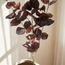 Eucalyptus Spray - 96 cm-household-gardenandoutdoor-artificialflowersandplants-fillers-image-2