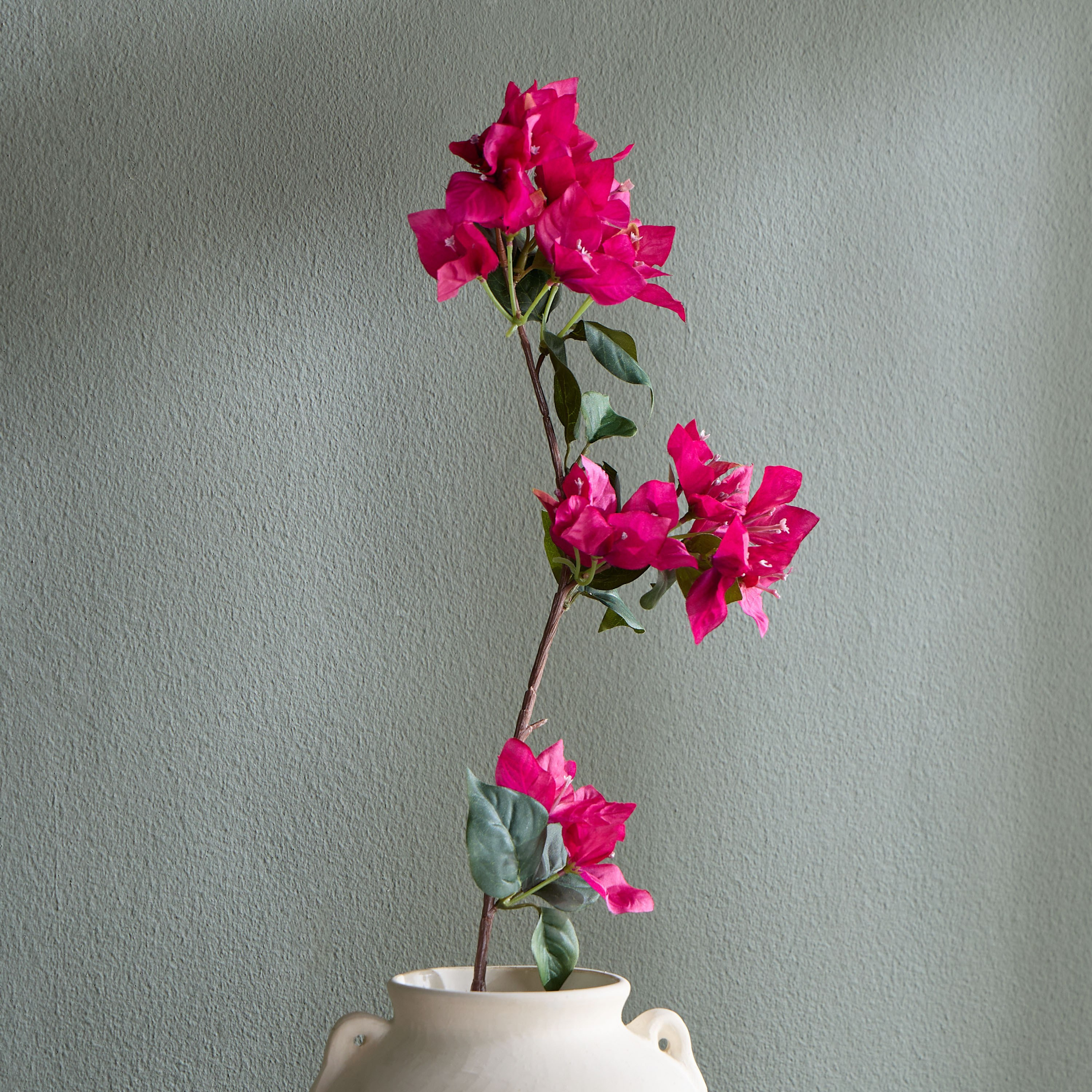 Bougainvillea Stem - 88 cm