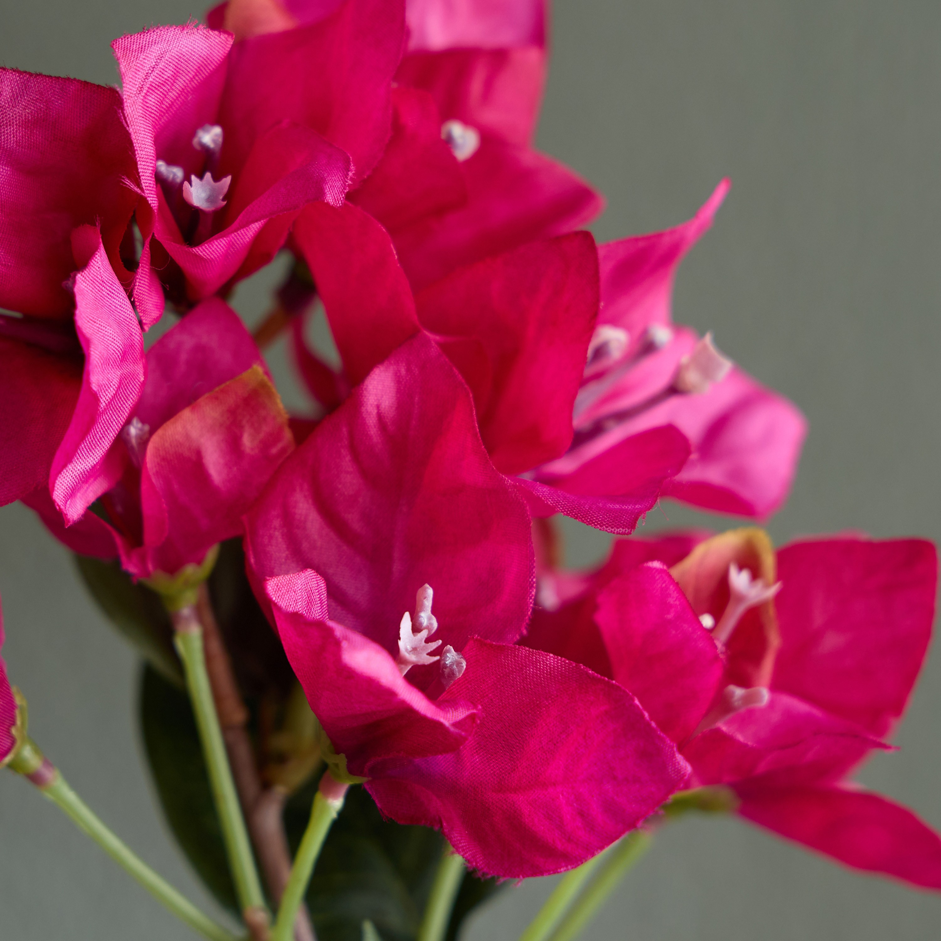 غصن زهور الجهنمية - 88 سم-household-gardenandoutdoor-artificialflowersandplants-stems-image-2