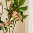 Sedum Wild Spray - 64 cm-household-gardenandoutdoor-artificialflowersandplants-fillers-image-2