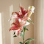 Real Touch Tiger Lily Stem - 86 cm-household-gardenandoutdoor-artificialflowersandplants-stems-image-2