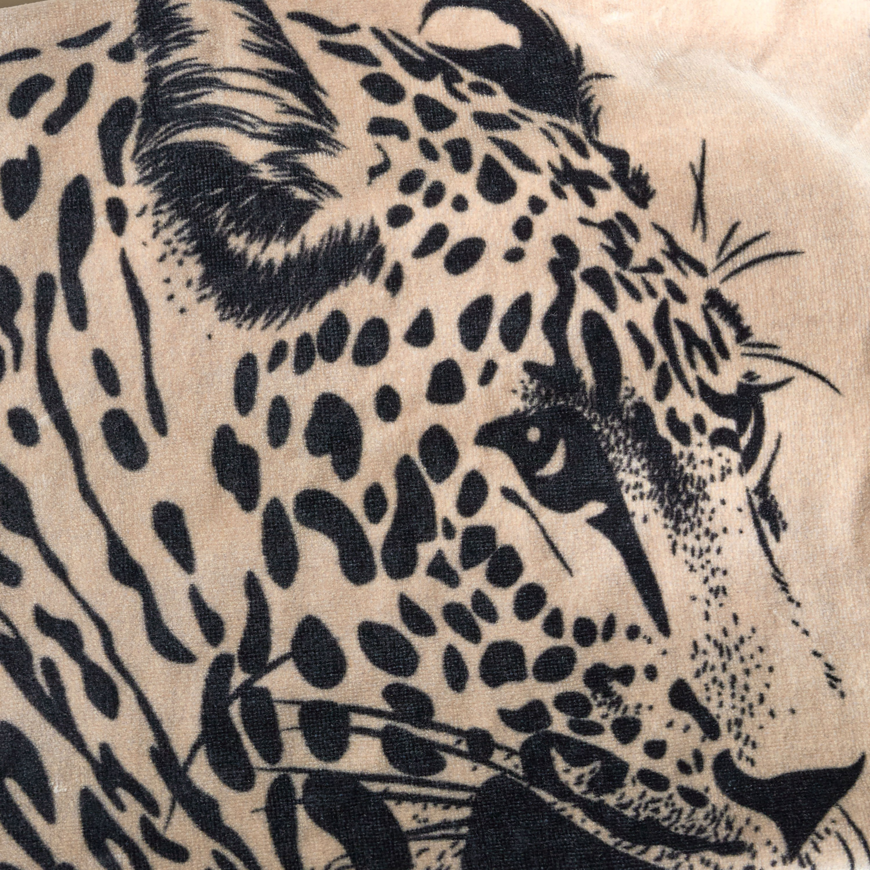 Roberto Cavalli 550 GSM Cotton Beach Towel - 100x180 cm-household-bathandlaundry-bathlinen-towels-image-2