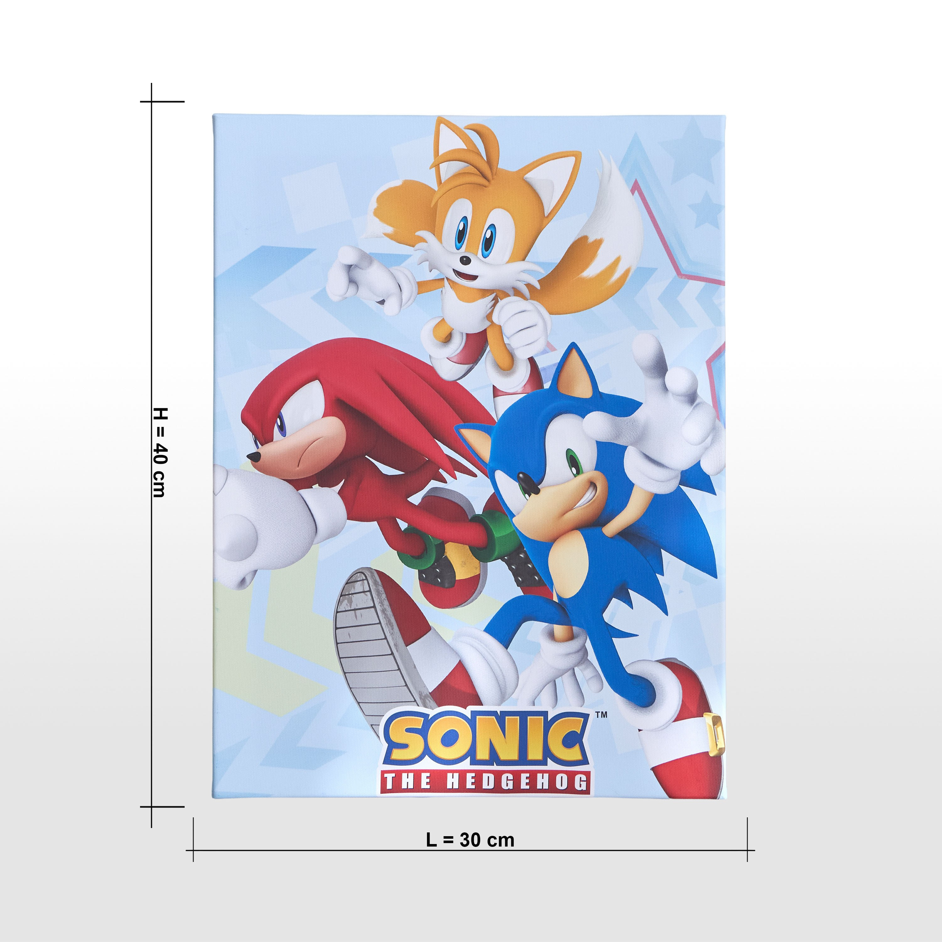 Sonic Canvas Wall Art - 30x40 cm-kids-decorandlighting-decor-wallart-image-4