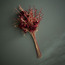 باقة زهور بوينسيتيا - 76 سم-household-christmas-wreathsgarlandsandflowers-flowers-image-1