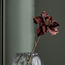 غصن بوينسيتيا - 61 سم-household-christmas-wreathsgarlandsandflowers-flowers-image-3