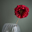 غصن زهرة فردية - 56 سم-household-christmas-wreathsgarlandsandflowers-flowers-image-4