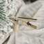 زهرة بوانسيتيا براقة بمشبك لتزيين الشجر - وينتر وونديرلاند - 21 سم-household-christmas-decorandtableware-decoraccessories-image-1