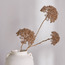 فرع زينة أليوم الميست اللامع - 80 سم-household-christmas-wreathsgarlandsandflowers-flowers-image-3