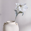 غصن بونسيتيا - ونتر وندرلاند - 56 سم-household-christmas-wreathsgarlandsandflowers-flowers-image-3