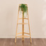 حامل نباتات خشبي بتصميم سلم - كيا - 103 سم-household-gardenandoutdoor-trellisandstands-plantstands-image-5
