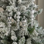 Winter Wonderland 4-Piece Hanging Ornament Set - 18 cm-binpromo_ADCB_UAE_151026-image-1