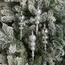 Winter Wonderland 4-Piece Hanging Ornament Set - 18 cm-binpromo_ADCB_UAE_151026-image-2