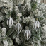 Winter Wonderland 4-Piece Hanging Ornament Set - 11 cm-binpromo_ADCB_UAE_151026-image-1