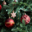 Poly 50-Piece Bauble Set-binpromo_ADCB_UAE_151026-image-3