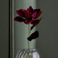 Magnolia Stem - 64 cm-household-christmas-wreathsgarlandsandflowers-flowers-image-1