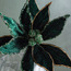 Embellished Poinsettia Decorative Stem - 45 cm-household-christmas-wreathsgarlandsandflowers-flowers-image-2