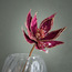 Burgundy Poinsettia Spray - 45 cm-household-christmas-wreathsgarlandsandflowers-flowers-image-1