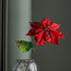 Traditional Poinsettia Stem - 50.5 cm-household-christmas-wreathsgarlandsandflowers-flowers-image-1