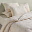 Poetry Paolo Printed 6-Piece Super King Comforter and Sheet Set - 240x260 cm-household-bedding-comfortersandbedspreads-bedinabag-image-7