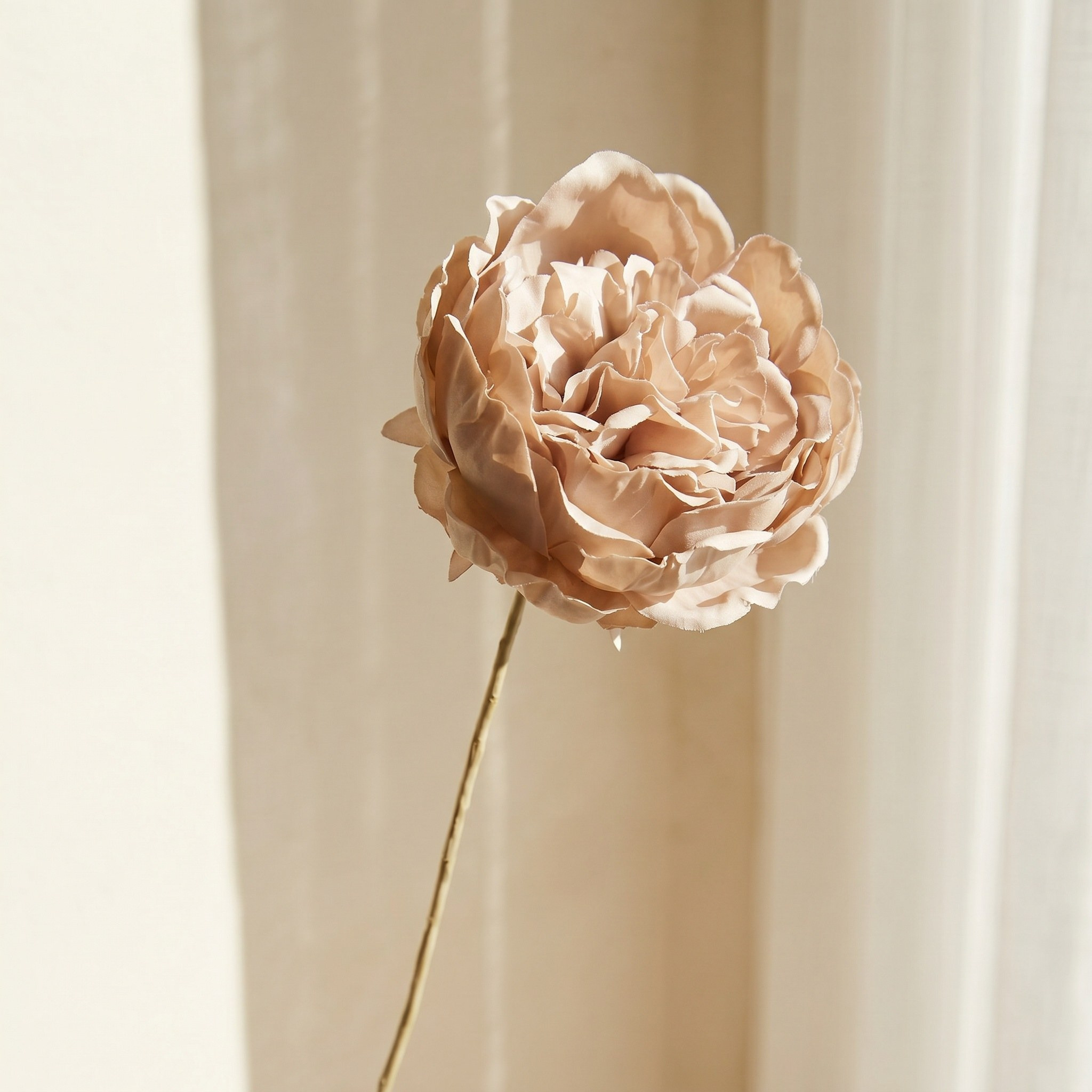 Alissa Cabbage Rose Stem - 65 cm-household-gardenandoutdoor-artificialflowersandplants-stems-image-2