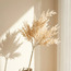 غصن ميسكانثوس - أليسا - 84 سم-household-gardenandoutdoor-artificialflowersandplants-fillers-image-1