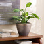 إناء زرع سيراميك برونزي - داروس - 24 سم-household-gardenandoutdoor-potsandplanters-planters-image-1
