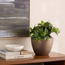 مزهرية سيراميك - داروس روسيت – ١٩ سم-household-gardenandoutdoor-potsandplanters-planters-image-1