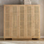 Anasa 5-Door Wardrobe-furniture-bedroom-wardrobes-image-2
