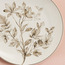 Marigold New Bone China Side Plate - 20 cm-household-dining-dinnerware-plates-image-2