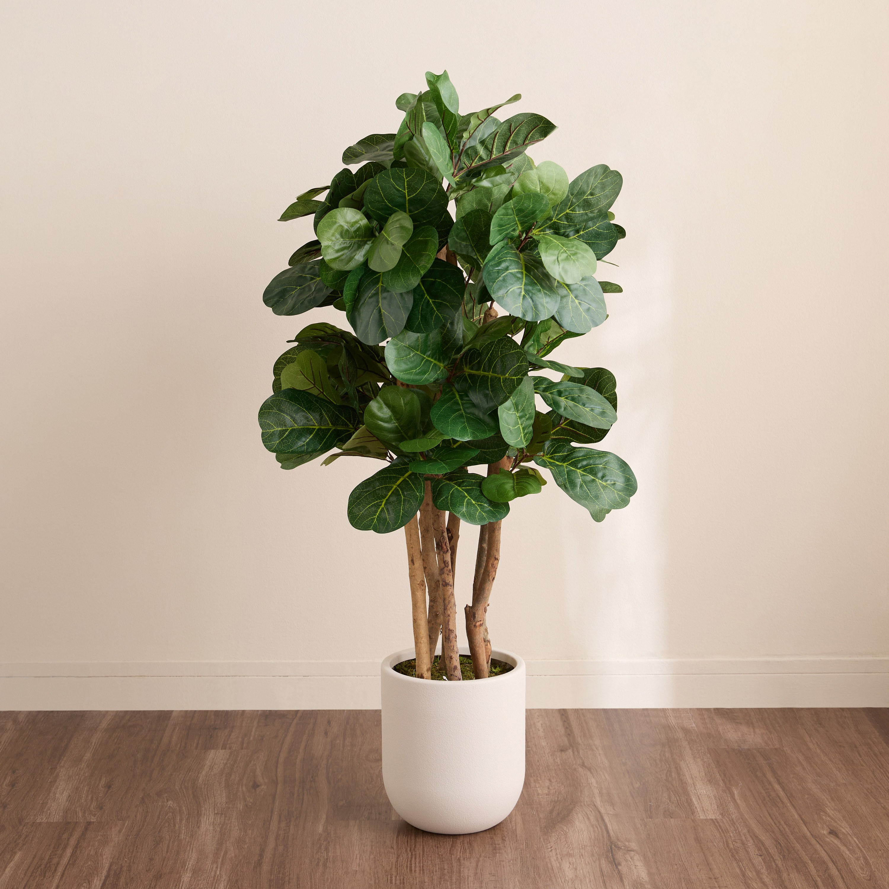 شجرة فيدل في إناء زرع - أوربانو بلانك - 120 سم-household-gardenandoutdoor-trees-image-1