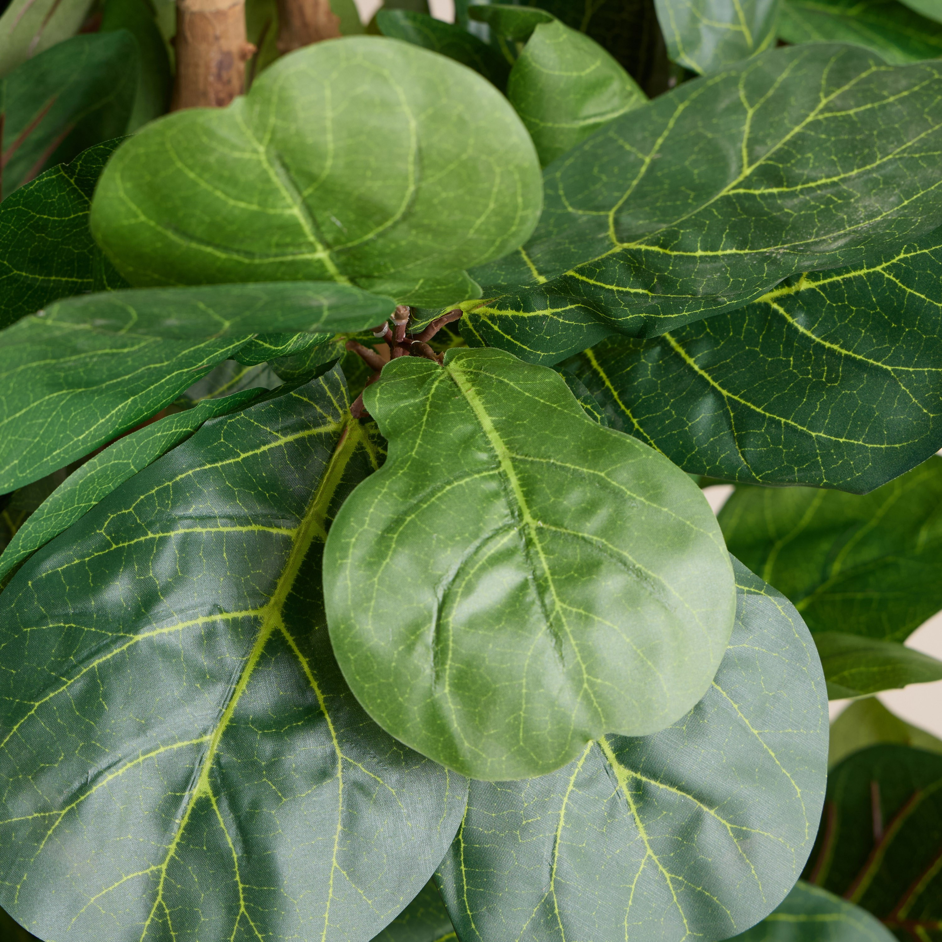 شجرة فيدل في إناء زرع - أوربانو بلانك - 120 سم-household-gardenandoutdoor-trees-image-2