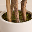 شجرة فيدل في إناء زرع - أوربانو بلانك - 120 سم-household-gardenandoutdoor-trees-image-2