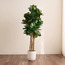 شجرة فيدل في إناء زرع - أوربانو بلانك - 183 سم-household-gardenandoutdoor-trees-image-4