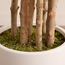 شجرة فيدل في إناء زرع - أوربانو بلانك - 183 سم-household-gardenandoutdoor-trees-image-2