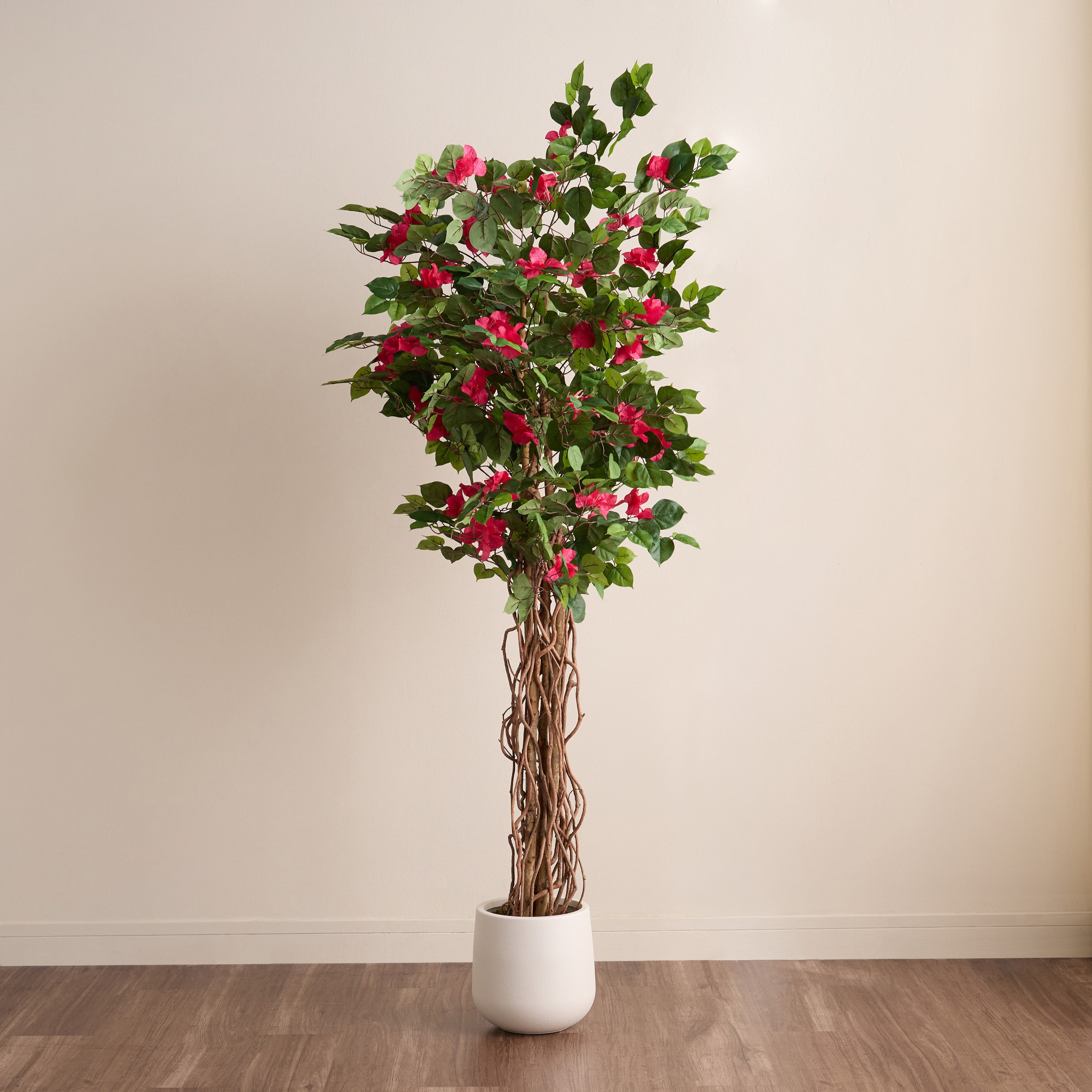 شجرة بوغنفيلية المتسلقة في إناء زرع - أوربانو بلانك - 183 سم-household-gardenandoutdoor-trees-image-1